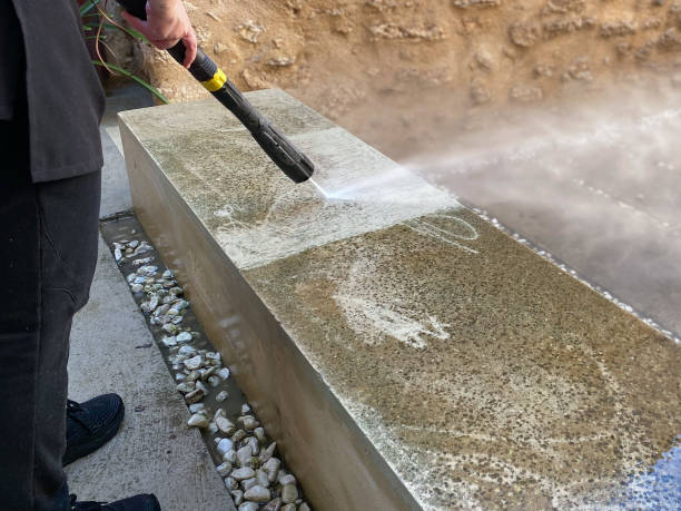 Best House Pressure Washing  in Rosewood Heights, IL