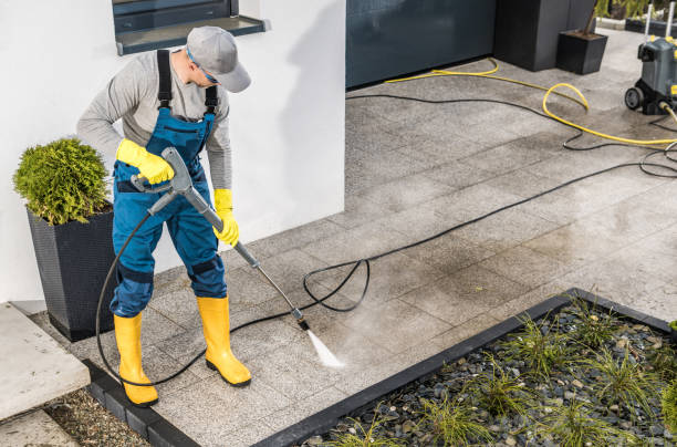 Best Commercial Building Pressure Washing  in Rosewood Heights, IL
