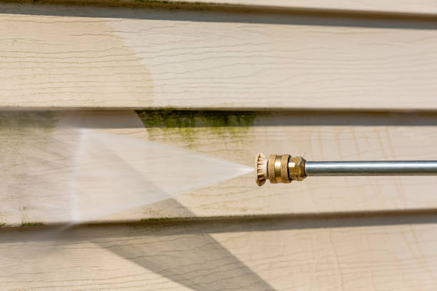 Best Roof Power Washing Services  in Rosewood Heights, IL